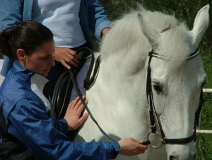 Begeleiding P2
